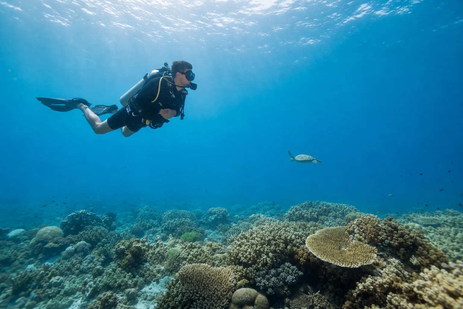 Scuba diver maintaining neutral buoyancy above a healthy Siquijor coral reef with a turtle in the distance