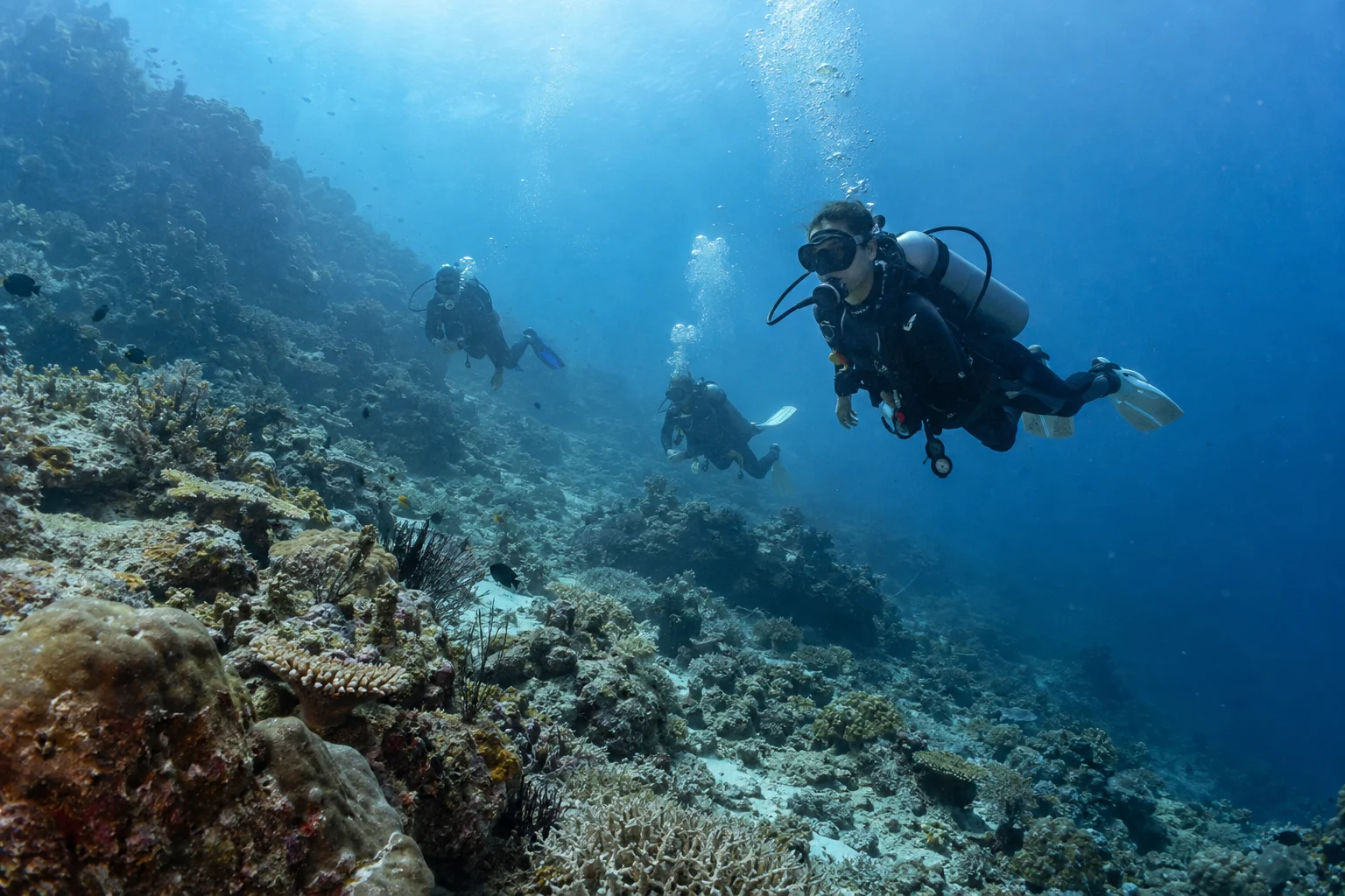 AI-generated illustration of a guide and two divers above a tropical reef