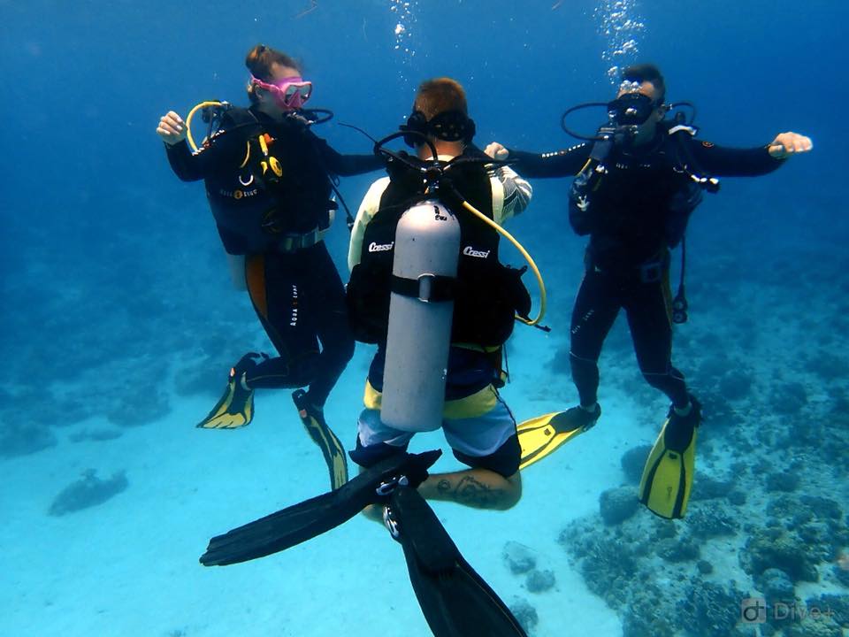 padi open water course , instructor with scuba diving students underwater in the house reef siquijor island philippines