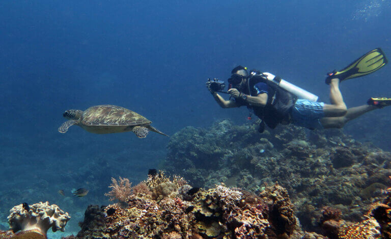 scuba diver practicing his underwater photography skills with a green sea turtle