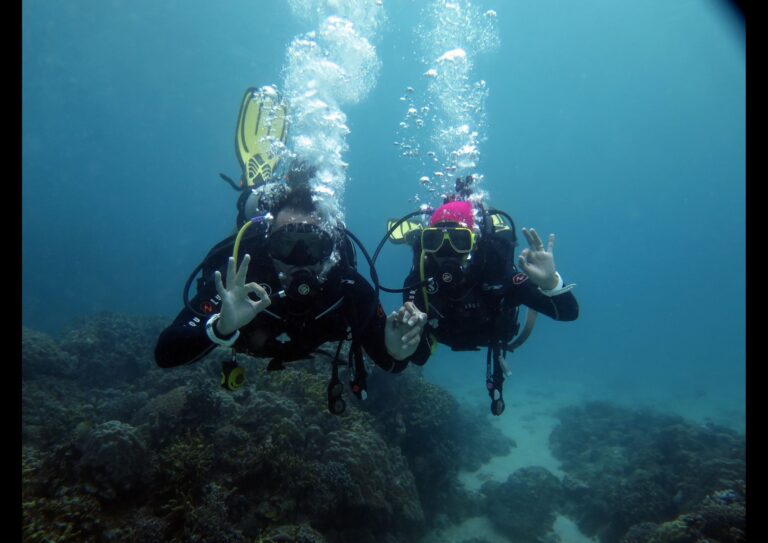 scuba diving and hacing fun enjoying the beautiful coral reef and many turtles around