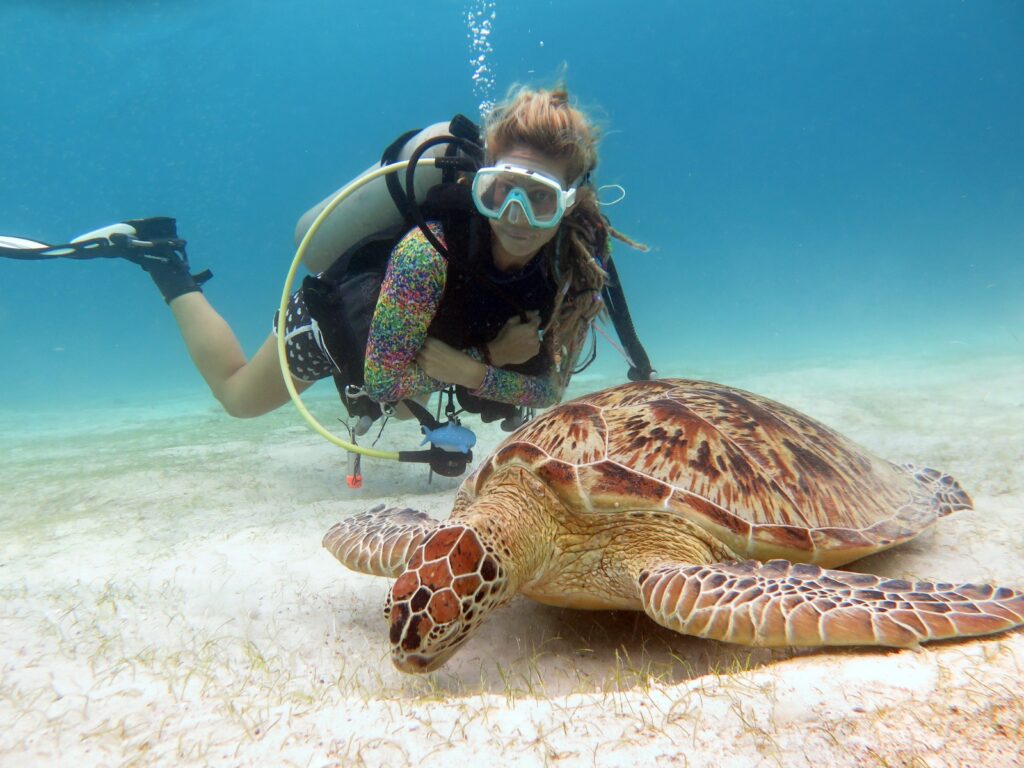 nice underwater photography with clear waters in siquijor island philippines