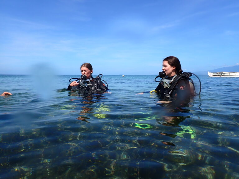 padi discover scuba diving course in siquijor island philippines for scuba diving underwater to see turtles and more