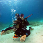learn padi ow courses with us in a chill environment in siquijor island with sea turtles and proffesional staff