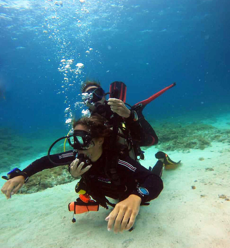 learn padi ow courses with us in a chill environment in siquijor island with sea turtles and proffesional staff
